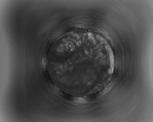 X0000093370285200711081531