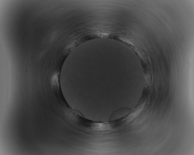 X0000093370286200711081531