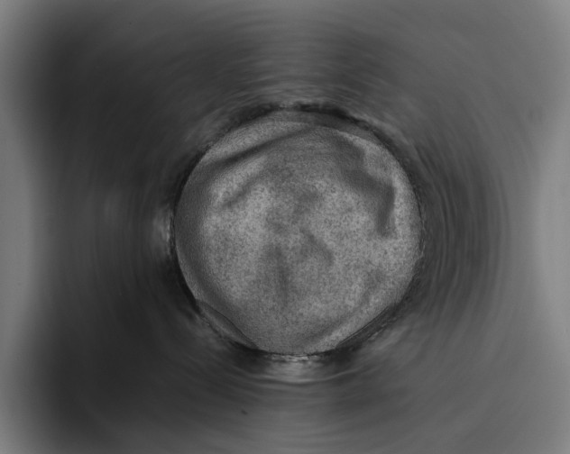 X0000093370288200711081531