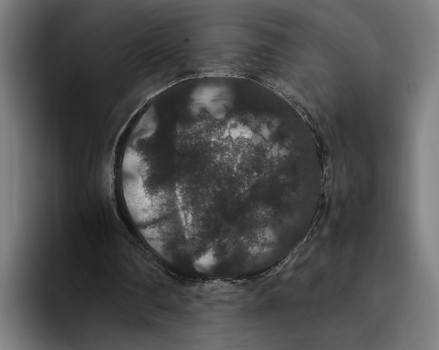 X0000093370290200711081530