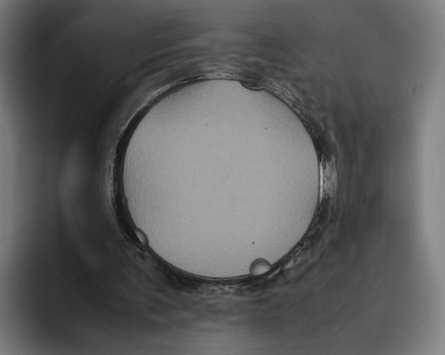 X0000093370291200711081530