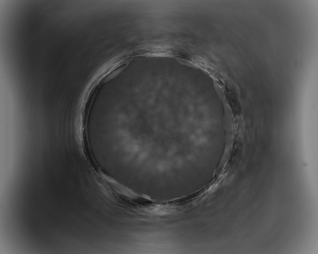 X0000093370293200711081530