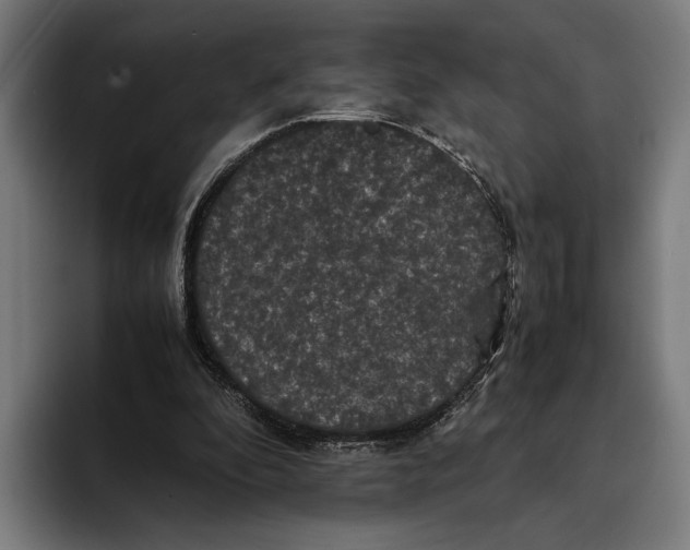 X0000093370296200711081530