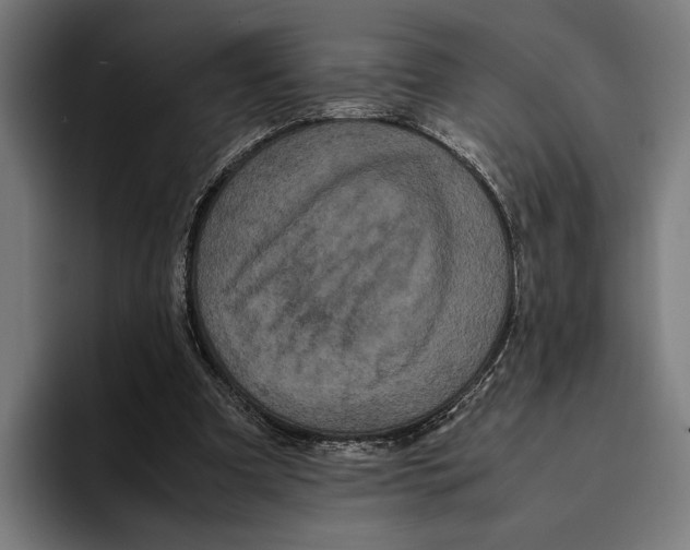 X0000093370297200711081530