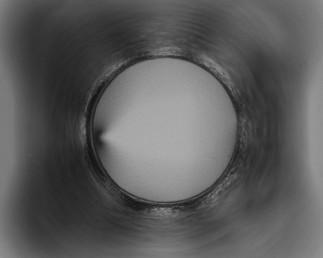 X0000093370298200711081530
