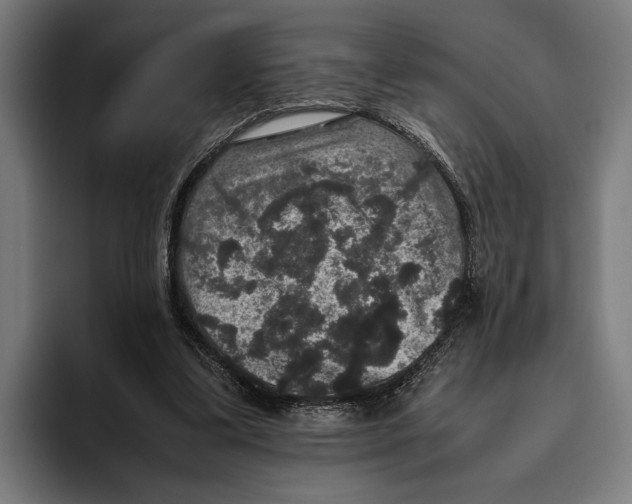 X0000093370299200711081530