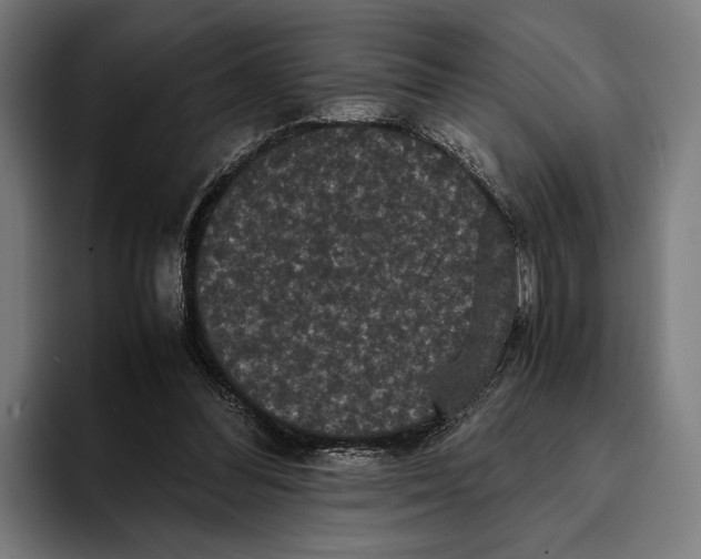X0000093370300200711081530