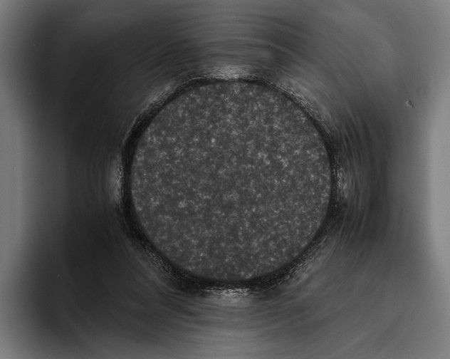 X0000093370304200711081530