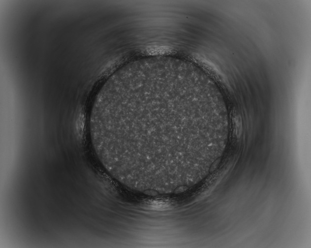 X0000093370308200711081530