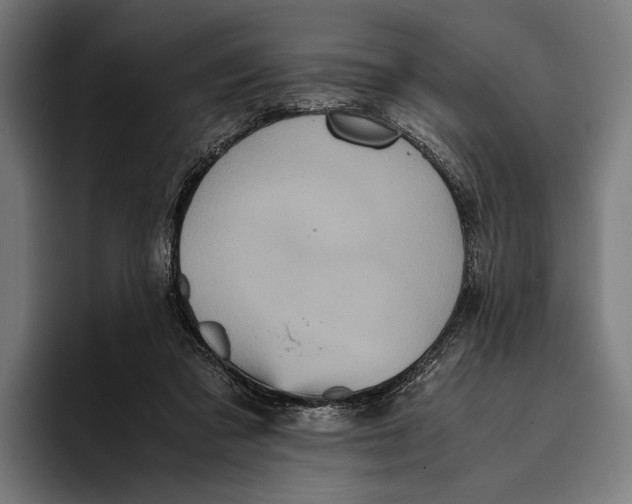 X0000093370309200711081530
