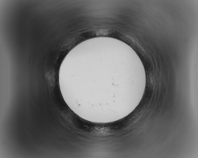 X0000093370311200711081530