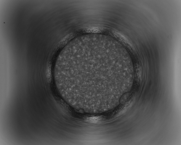 X0000093370312200711081530