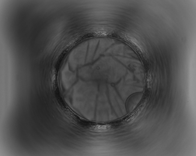 X0000093370314200711081530