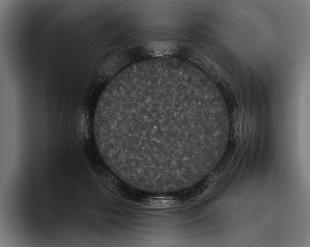 X0000093370316200711081530