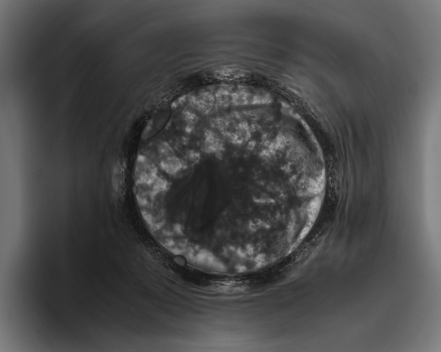 X0000093370319200711081530