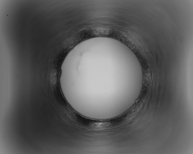 X0000093370323200711081530