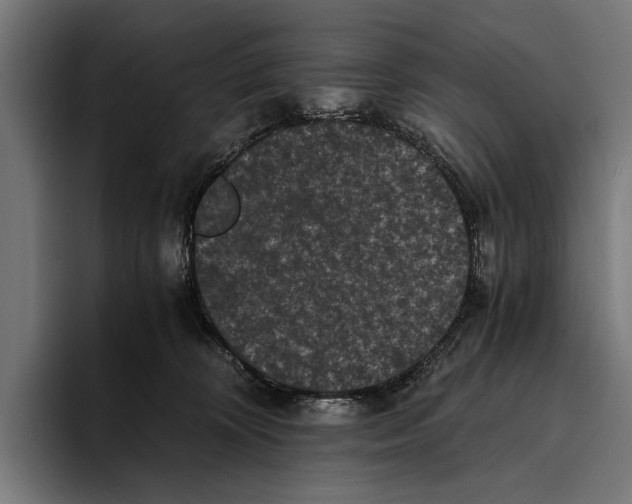 X0000093370324200711081530