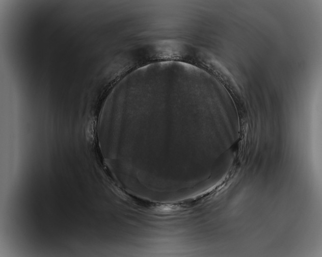 X0000093370325200711081530