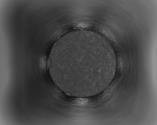 X0000093370328200711081530