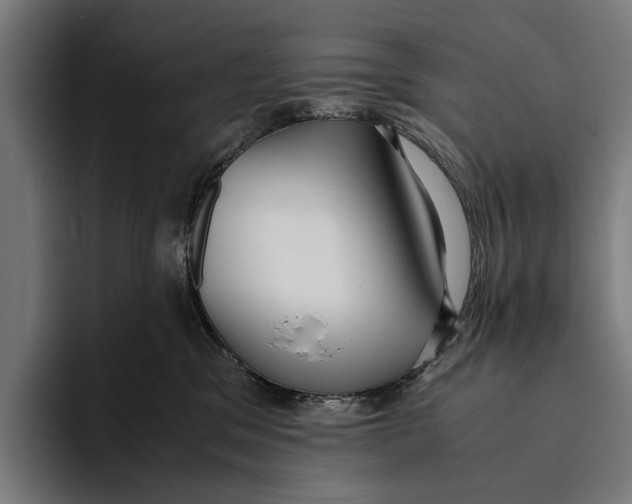 X0000093370329200711081530