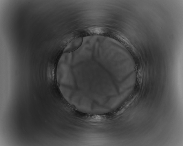 X0000093370330200711081530