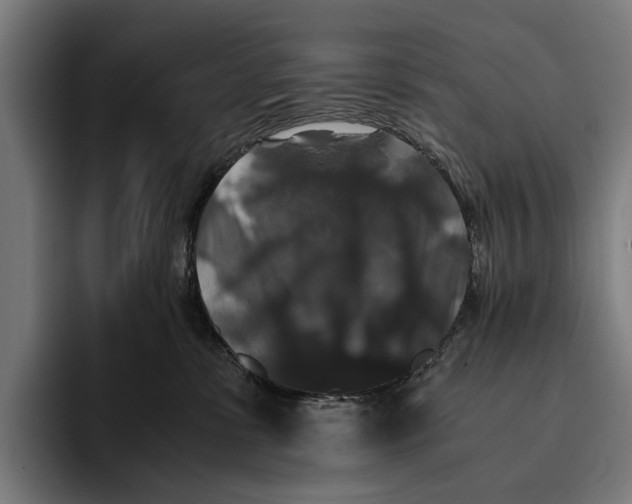 X0000093370331200711081530