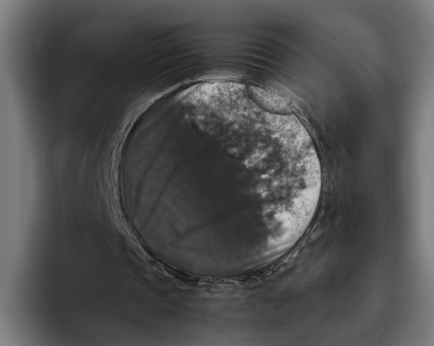 X0000093370337200711081529