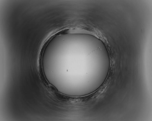 X0000093370340200711081529