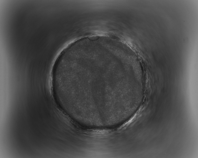 X0000093370342200711081529