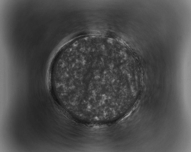 X0000093370343200711081529