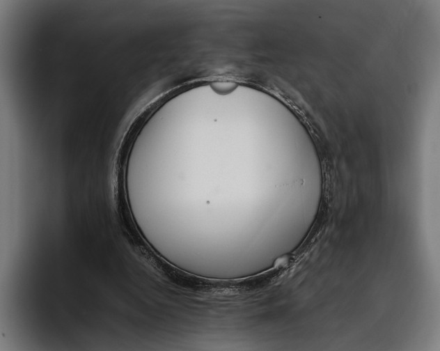 X0000093370344200711081529