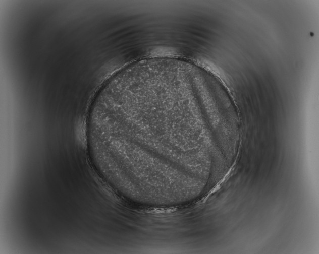 X0000093370345200711081529