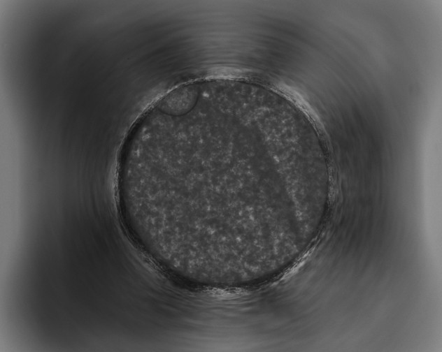 X0000093370346200711081529