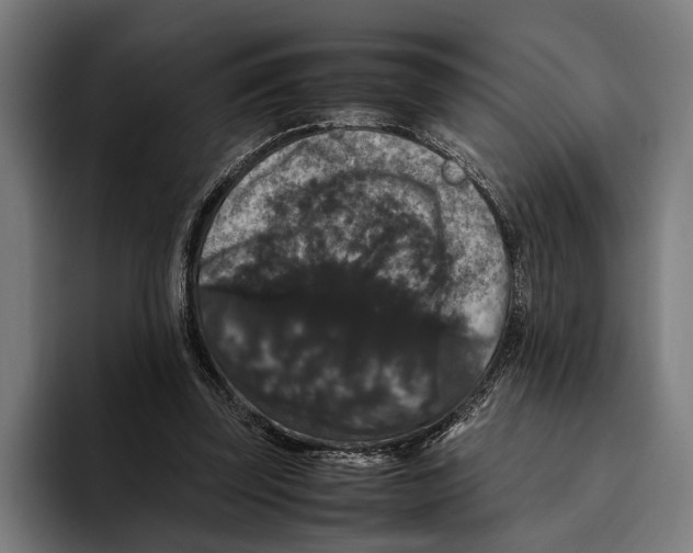 X0000093370347200711081529