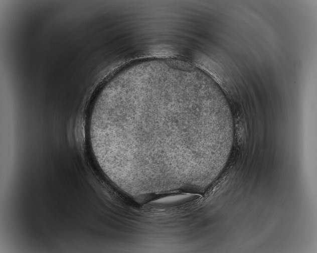 X0000093370350200711081529