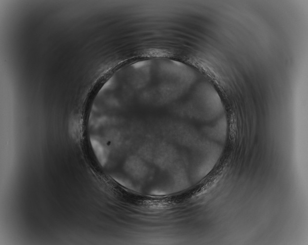 X0000093370351200711081529
