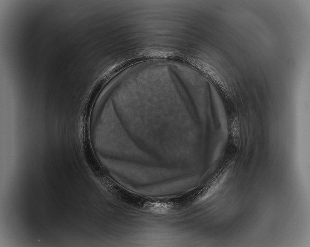 X0000093370352200711081529