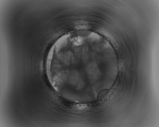 X0000093370353200711081529