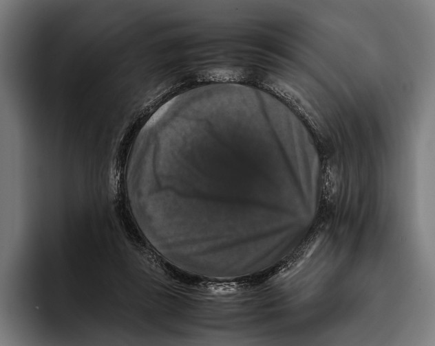 X0000093370355200711081529