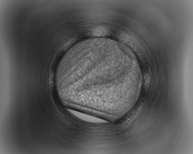 X0000093370356200711081529