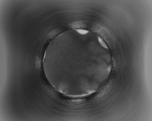 X0000093370357200711081529