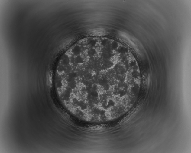 X0000093370358200711081529