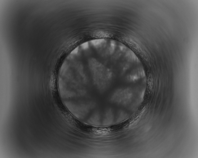 X0000093370359200711081529