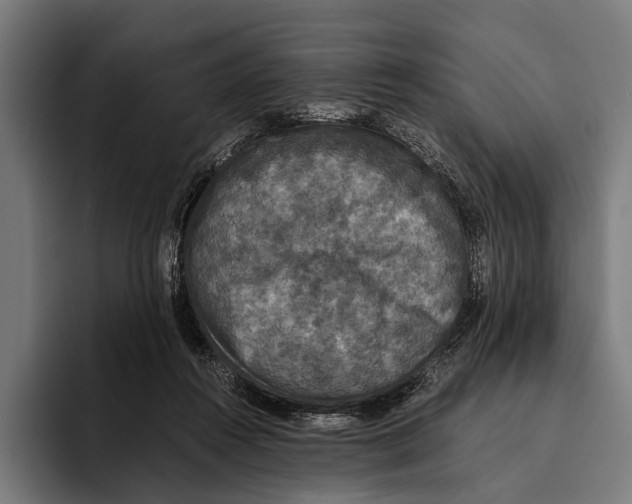 X0000093370360200711081529