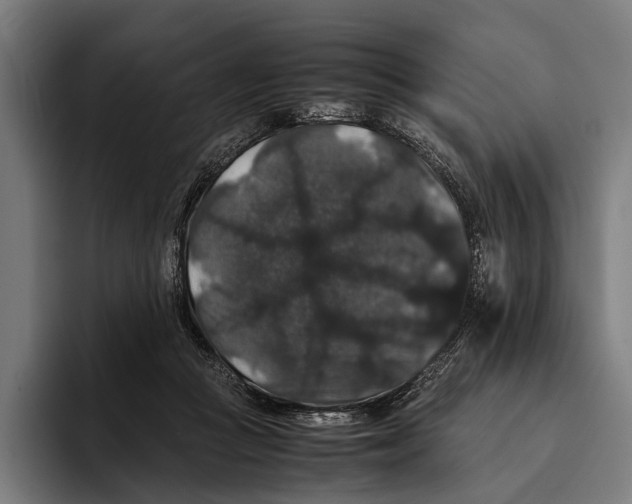 X0000093370361200711081529