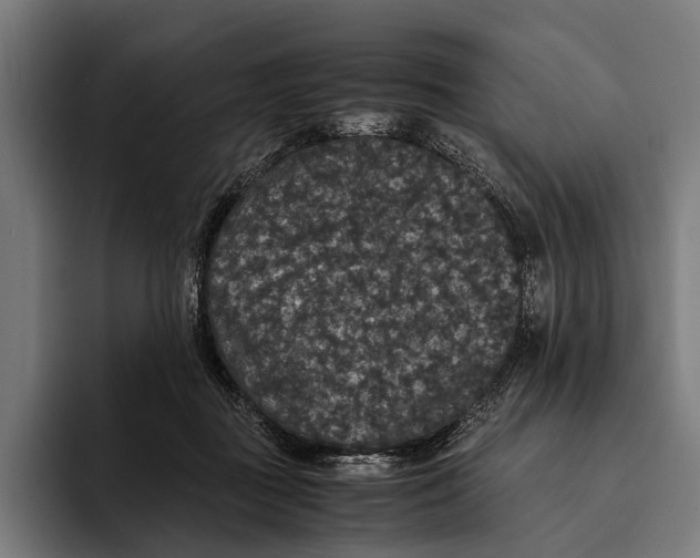 X0000093370363200711081529