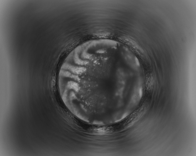 X0000093370365200711081529