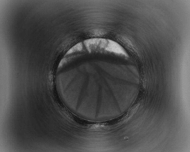 X0000093370366200711081529