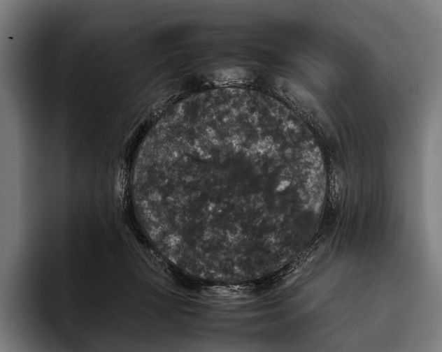 X0000093370367200711081529