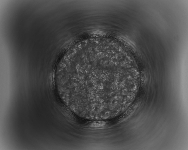 X0000093370369200711081529